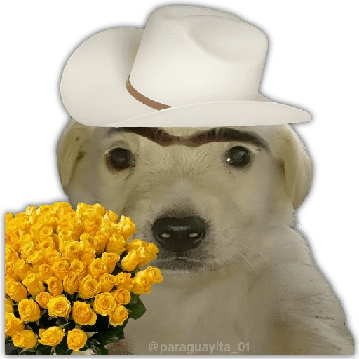 🌻💐 Жуто цвеће 3 💐🌻  8