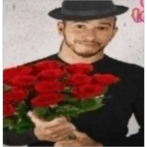 Fórmula 1 1