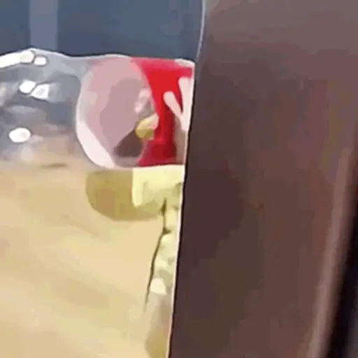 Bebés divertidos 👶🏼 14