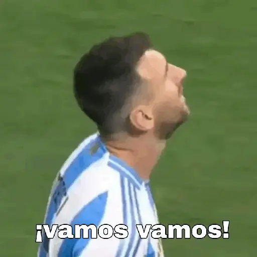 Argentina copa América 🇦🇷👊 14