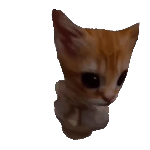 🐱 Gato Roblox 💫baile 😹💫 17