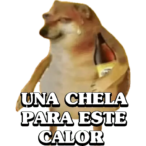 Memes de Calor 🫠🫠 2