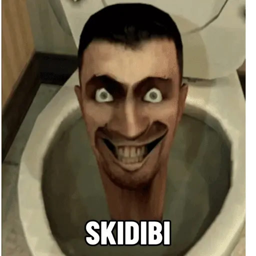 🗣️TIKTOK BRAINROT 💀 14