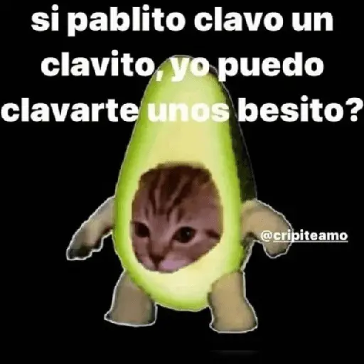 Amor para ti 🥰😍❤️