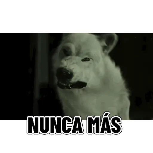 En modo de defensa estoy 🛡️ 11