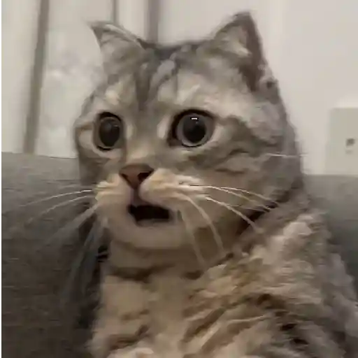 🎵 TIKTOKeando 36🎵 6