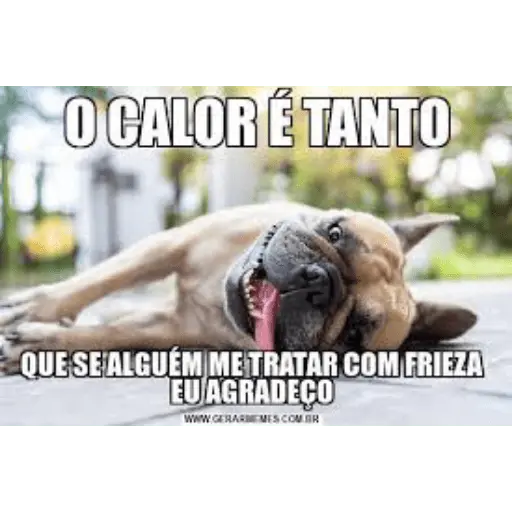 NÍVEL DE CALOR 🔥 9