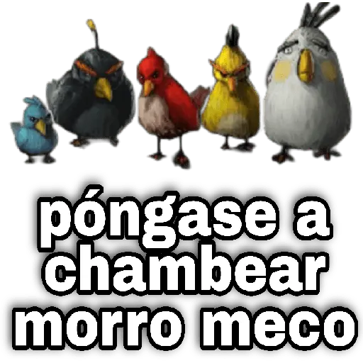 Memes Angry birds 🕳️🐦😶🌫️ 27