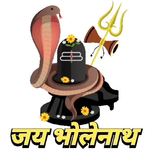 Maha Shivratri 13