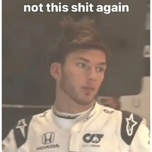 Formula 1 3