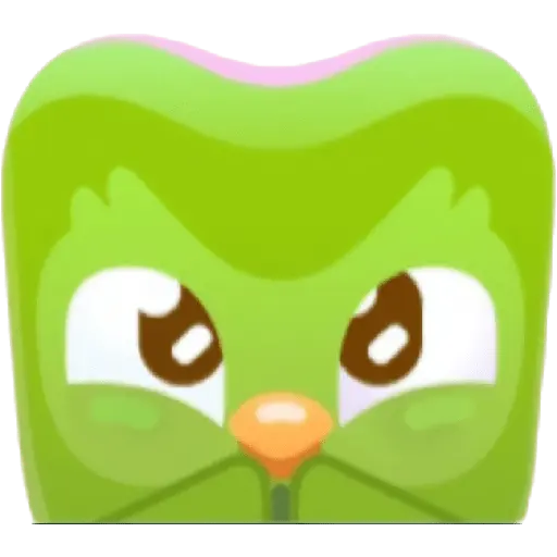 Duolingo 5