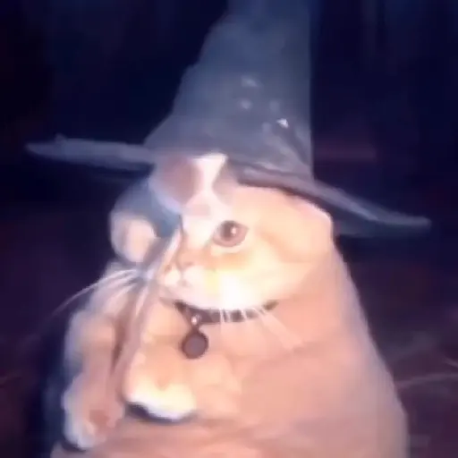 Halloween 🎃 4