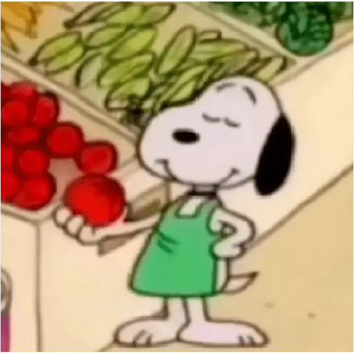 snoopy 15