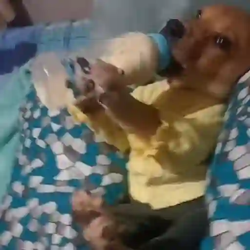 🎵 TIKTOKeando 10🎵 19