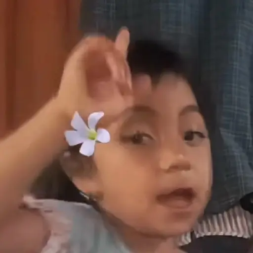 🌹 Rosita Niña TikTok Viral 📱 17
