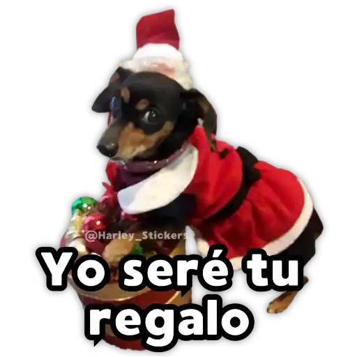 Perritos Navideños 2