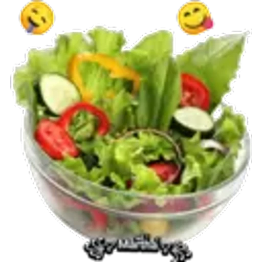 ان استان