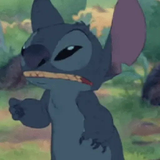 stitch😍🩷