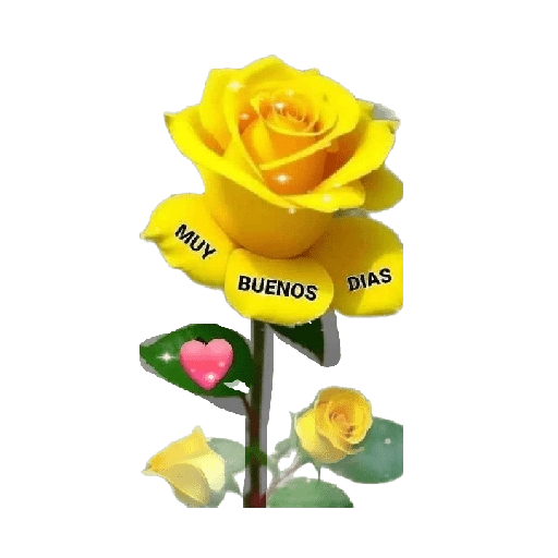 Flores amarillas 🌼🌻 2