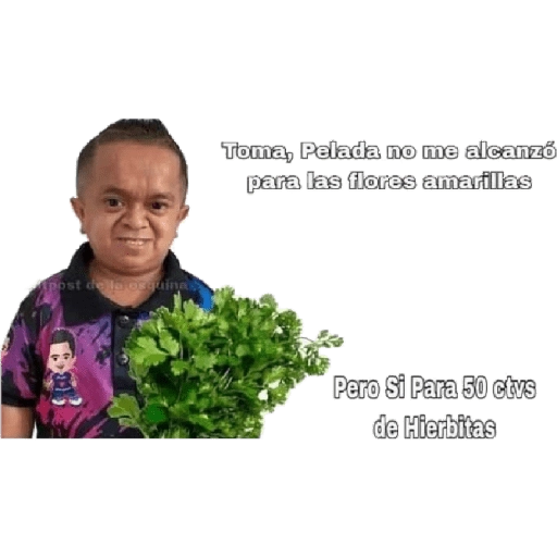 Flores Amarillas🌻ramos 5