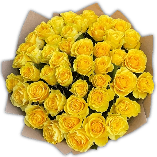 🌻💐 Жуто цвеће 3 💐🌻  24