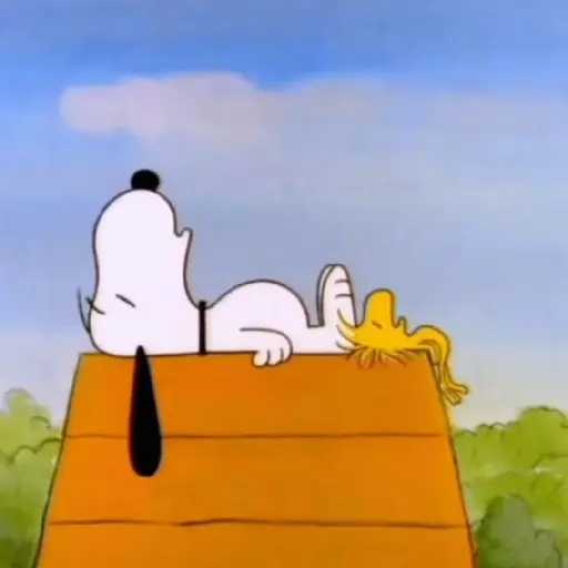 ﹒🐶˙﹟Snoopy﹗© ivanbu 27