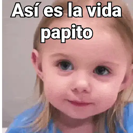 Así es la vida papito