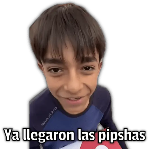 🍕•Ya Llegaron las Pipshash•🍕 8
