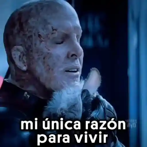 🐕Dogpool ⚔Deadpool⚔Wolverine 7