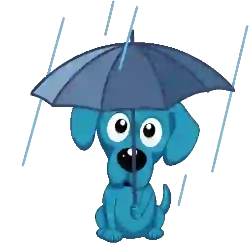 Lluvia☔️🌧️ 21