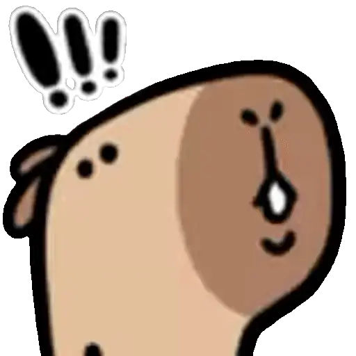🐾🦫Capibara reactions 🦫🐾 9