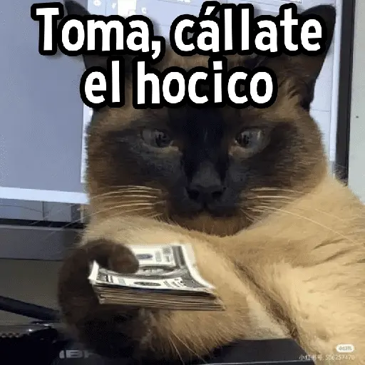 Gatitos pa tu Wsp😼🫰🏻 16