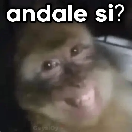 💫 conTrabajo estudio 🤣❣️ 24