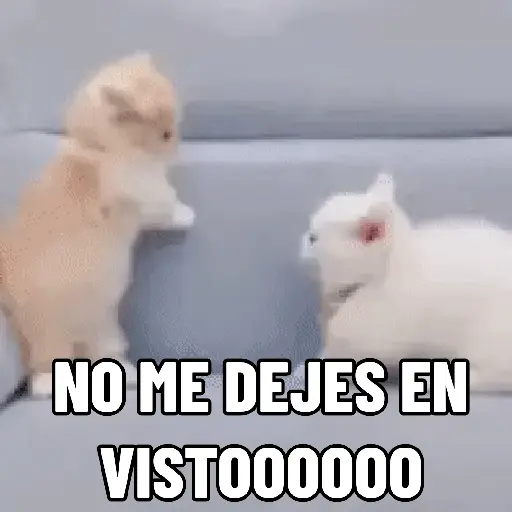 NO ME DEJES EN VISTO ✔️✔️😾 10