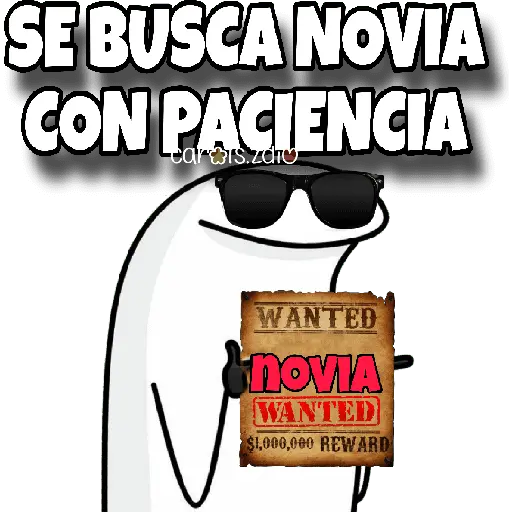 SE BUSCA NOVIA CON PACIENCIA car is.zdio WANTED ¡NOVIA WANTED $1,000,000 REWARD