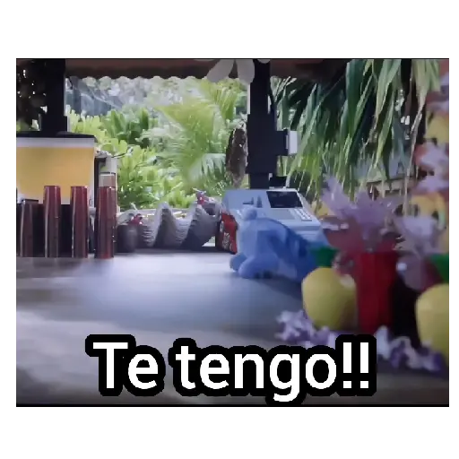 Te tengo!!