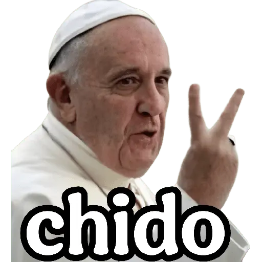 papa Francisco 😎 16