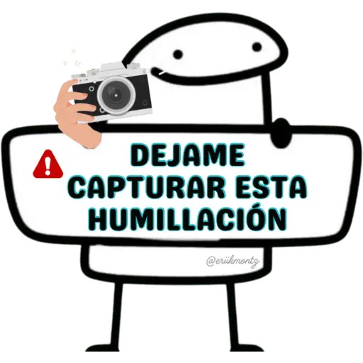 Flork Para Chat 🤪 1