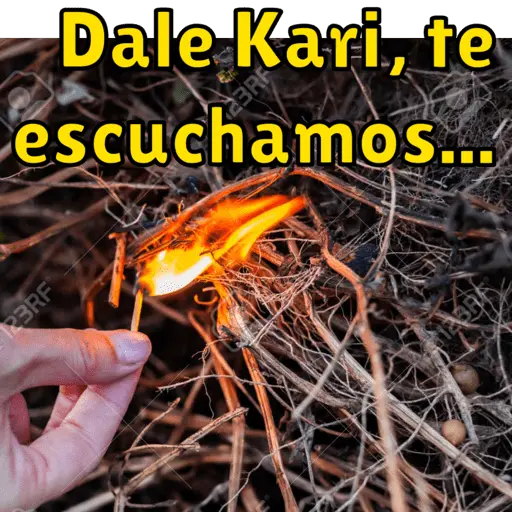 trabajo 23