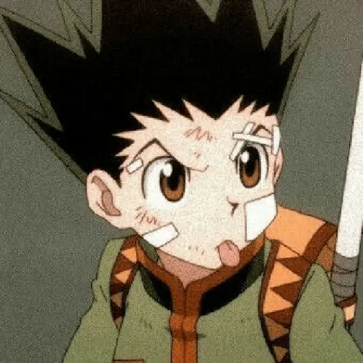 hunter x Hunter 10