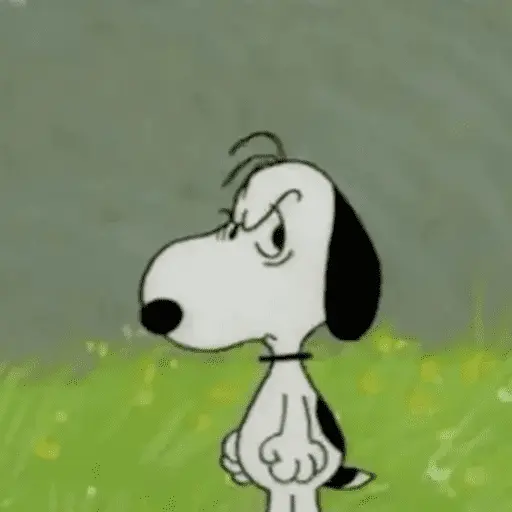 Stickers Snoopy sin contexto🐶 13