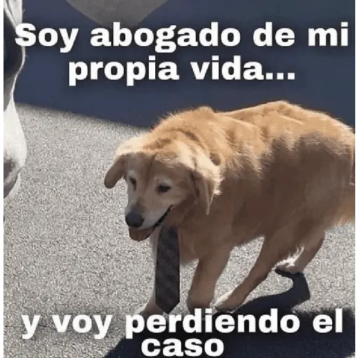 Más REACCIONES #6 🤖 9