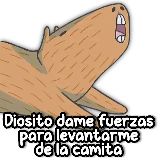 CAPIBARA Frases 7