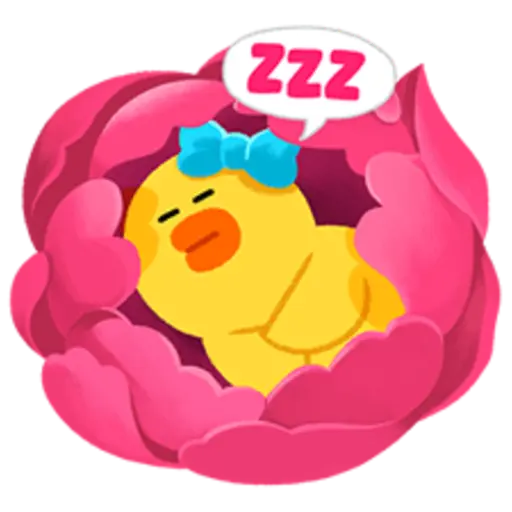 zzz