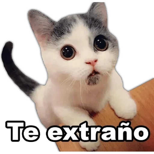 Te extraño