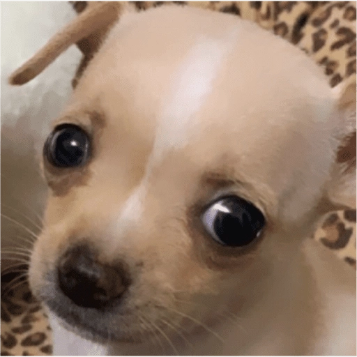 Geðsviðbrögð 1 13