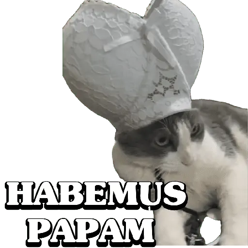 Memes 32 21