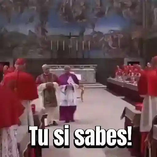 Papa león XIV 1