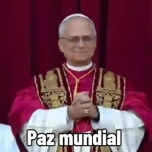 Papa león XIV 29