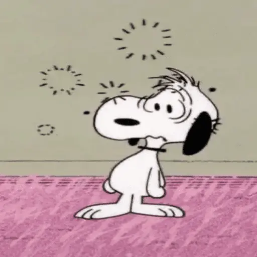 🐾•🏡Snoopy🏡•🐾 14